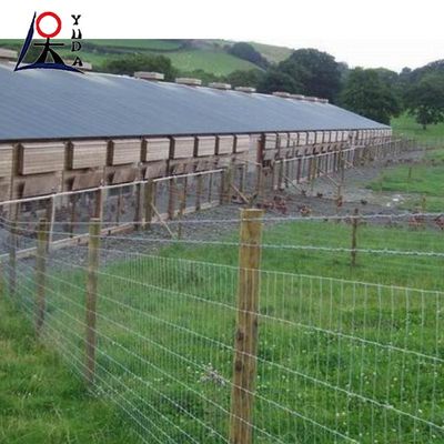 Electro Galvanised Or Hot Dip Galvanised Field Fence Corrosion Resistant
