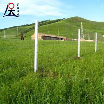 Farm Grassland Fence With Fence Posts Galvanized High Tensile Wire Fence