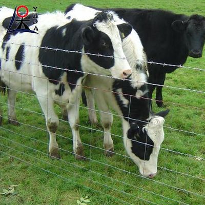 Farm Livestock Field Fence Management Galvanized Horse Deer Fence