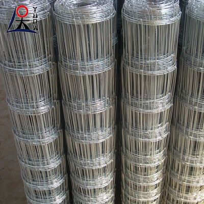 Hot Dip Galvanized Farm Woven Iron Wire Net Grassland Sheep Field Fence
