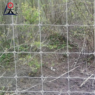Goat Farming Cattle Sheep Railing Fence Metal Fixed Knotted Iron Wire Mesh
