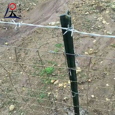 Goat Farming Cattle Sheep Railing Fence Metal Fixed Knotted Iron Wire Mesh