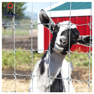 Grassland Weave Iron Wire Mesh Field Fence For Cattle Metal Net