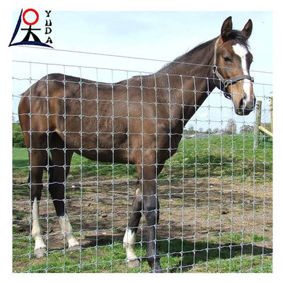 Grassland Weave Iron Wire Mesh Field Fence For Cattle Metal Net