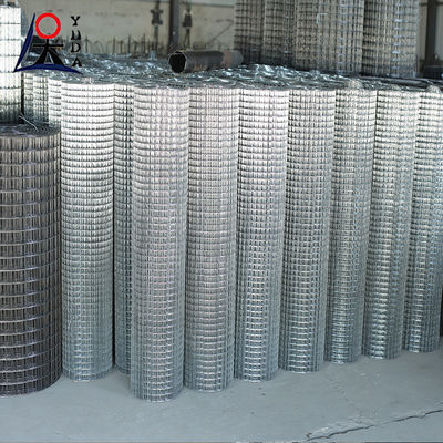 Galvanized Welded Wire Mesh Fence Rolls Aviary Rabbit Hutch Chicken Mesh