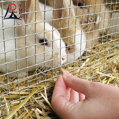 Welded Wire Mesh Fence Roll Bird Cage Weld Iron Wire Aviary Mesh