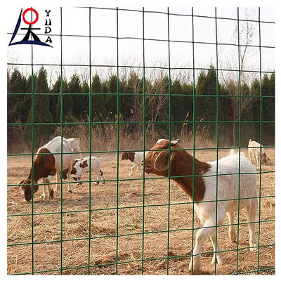 Pvc Coated Welded Wire Mesh Garden Fence Galvanized Steel Welded Mesh