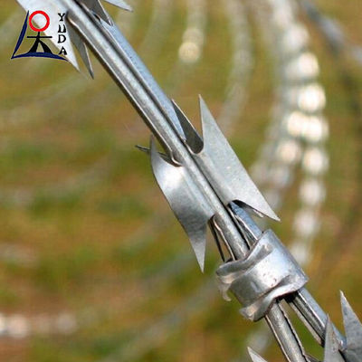 Anti Climbing Fence Protective Wire Hot Dipped Galvanized Razor Barbed Wire