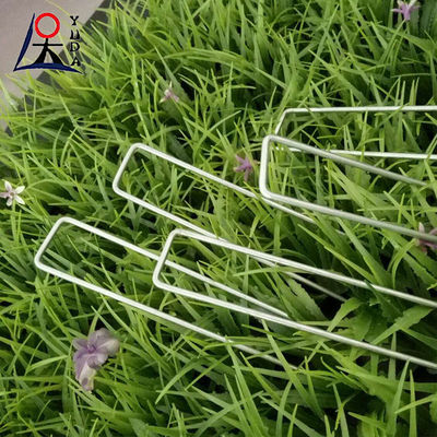 Landscape Sod Garden Staples Grass Fixing Pins Galvanized Staples Sample Free Sample For Building Construction