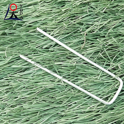 Muestra gratuita Clavos de hierba artificial galvanizados Clavos de tierra Tipo de suelo