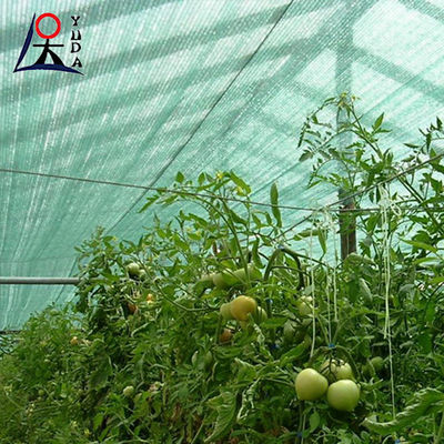 Anti UV Greenhouse agricultural shade cloth 40 Rate Dark Green